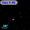 Terz V   45