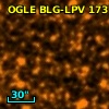 Terz V   48