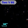 Terz V   66