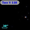 Terz V  110