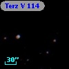 Terz V  114