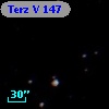 Terz V  147