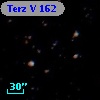Terz V  162