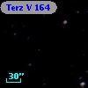 Terz V  164