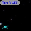 Terz V  165