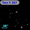 Terz V  167