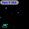 Terz V  181