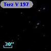 Terz V  197