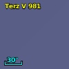 Terz V  981