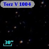 Terz V 1004