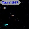 Terz V 1017