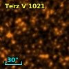 Terz V 1021