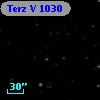 Terz V 1030