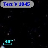 Terz V 1045