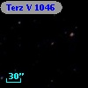 Terz V 1046