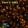 Terz V 1061