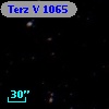 Terz V 1065