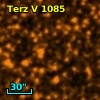 Terz V 1085