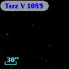 Terz V 1089