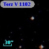 Terz V 1102