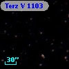 Terz V 1103