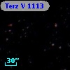 Terz V 1113