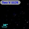 Terz V 1128