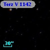 Terz V 1142