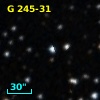 G 245-31