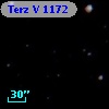 Terz V 1172