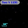 Terz V 1195