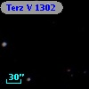 Terz V 1302