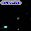 Terz V 1305