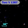 Terz V 1307