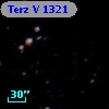 Terz V 1321