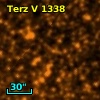 Terz V 1338