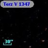 Terz V 1347