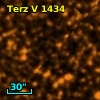 Terz V 1434