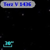 Terz V 1436
