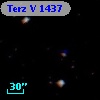 Terz V 1437