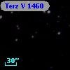 Terz V 1460