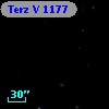 Terz V 1177