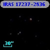 IRAS 17237-2836