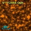 V* V2466 Oph