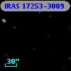 IRAS 17253-3009
