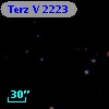 Terz V 2223