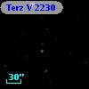Terz V 2230