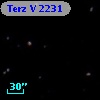 Terz V 2231