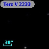 Terz V 2233