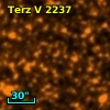 Terz V 2237